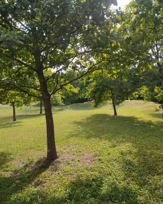 Terreno edificabile zona Preval