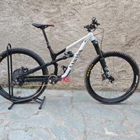 Canyon Spectral TELAIO e CERCHI NUOVI