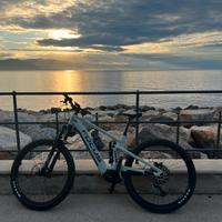 mtb focus elettrica