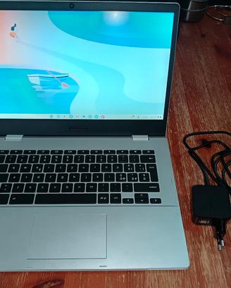 Chromebook Asus 14 pollici 