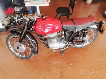 MV Agusta - 1956