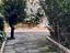 Immagine 13