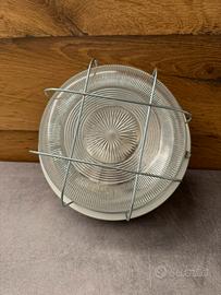 Tartaruga tonda con gabbia Lombardo