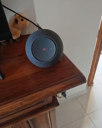alexa
