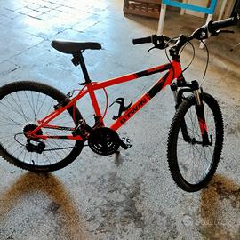 bicicletta ben tenuta