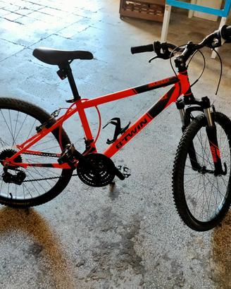 bicicletta ben tenuta