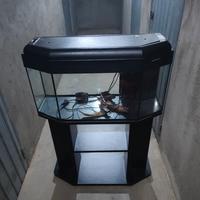 Aquario PET  COMPANY 80 LT