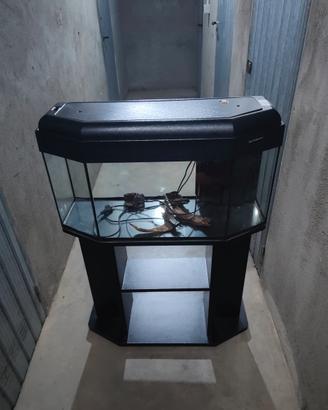Aquario PET  COMPANY 80 LT