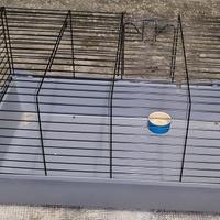 gabbie conigli e criceti 