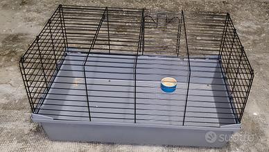 gabbie conigli e criceti 