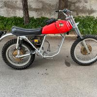 Smembro laverda chott