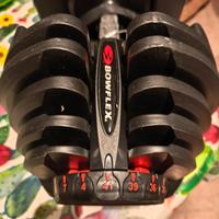 Bowflex SelectTech manubri regolabile 