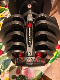 Bowflex SelectTech manubri regolabile 