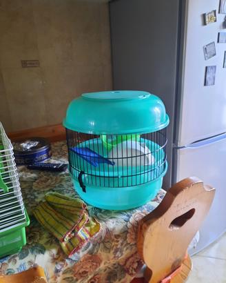 Gabbia per uccellini