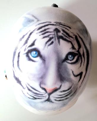 Casco da snow