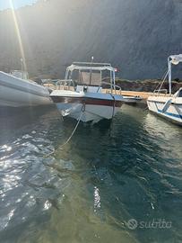 Barca saver con motore