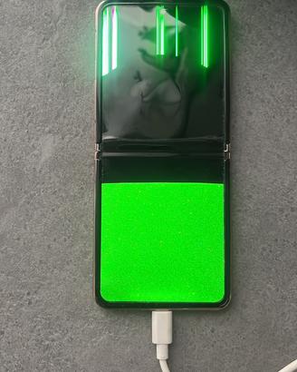 Samsung Zflip 1 cristalli liquidi rotti