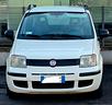 fiat-panda-1-2-emotion-neopatentati-euro5b-benzina