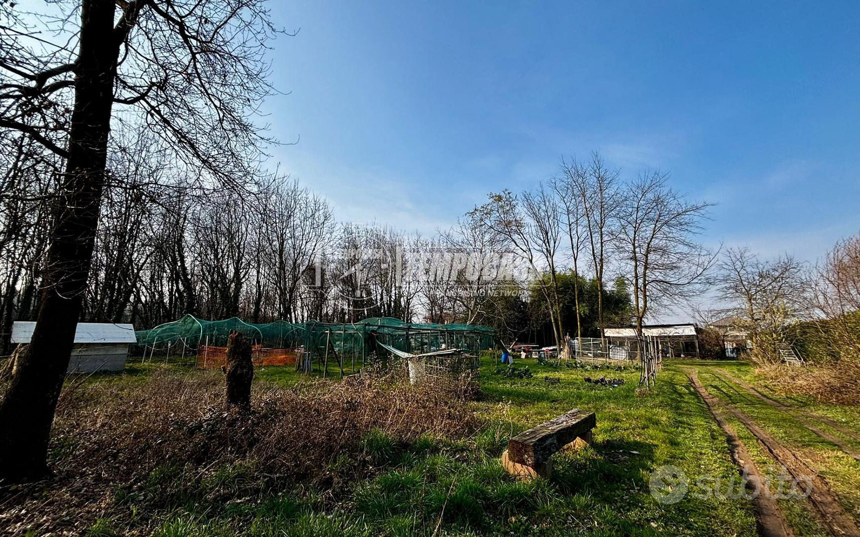 TERRENO AGRICOLO - Vista 5