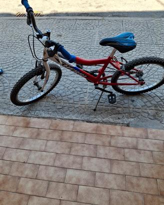 bicicletta 