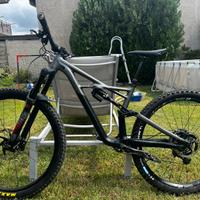 bici da enduro (specialized)