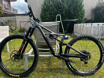 bici da enduro (specialized)