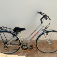 Set 3 Biciclette Shadow