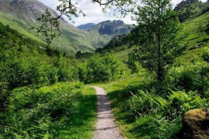 Terreno SAN CALOGERO (V. V.) ULIVETO 4 ettari