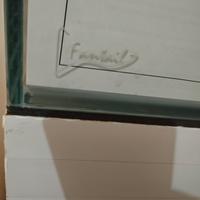 acquario nuovo fantail