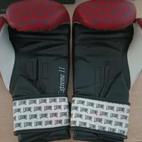  guanti da box come nuovi 