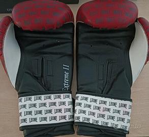  guanti da box come nuovi 