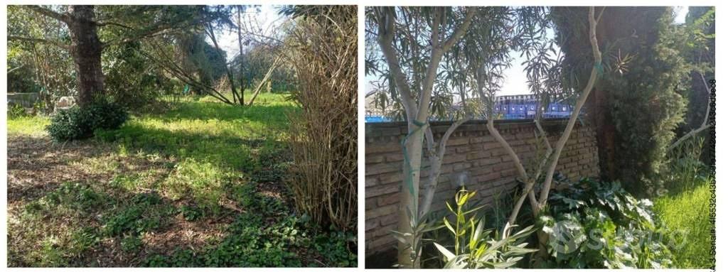 Immobile in asta di 1255 m² a Cesenatico - Vista 3