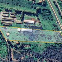 Azienda Agricola - Villa San Pietro