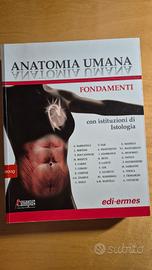 Anatomia  umana