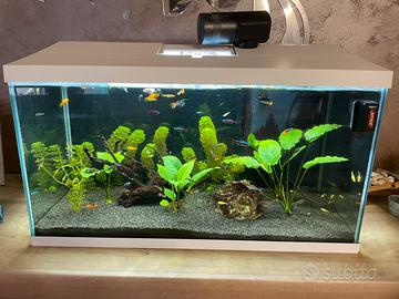 Acquario aquael 100 litri
