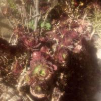 Giardino arredo giardino e fai da te