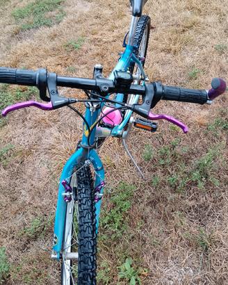 Montain Bike VINER Firebird