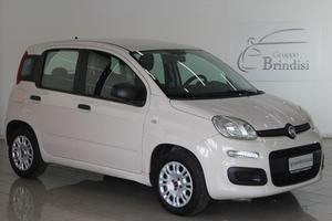 FIAT - Panda - 1.2 Easy