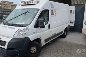 Peugeot Boxer con Frigo a -20° frigo e freezer