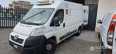 Peugeot Boxer con Frigo a -20° frigo e freezer