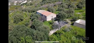 Magazzino
