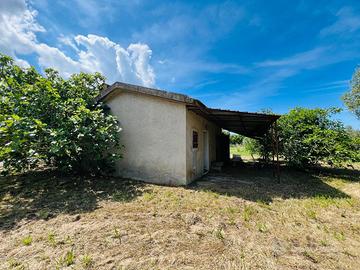 Casa semindip. a - CampagnaCastagneto Carducci