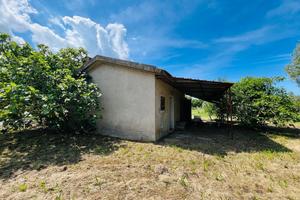 Casa semindip. a - CampagnaCastagneto Carducci