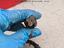 Immagine 25