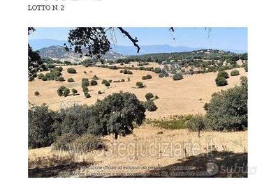 Terreno Agricolo Sarule [A4320565]