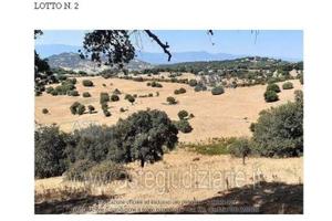 Terreno Agricolo Sarule [A4320565]