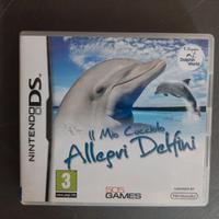 Gioco per Nintendo DS "