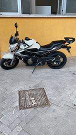 Yamaha XJ6 naked