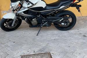 Yamaha XJ6 naked