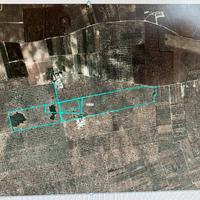 Terreno agricolo olivetato